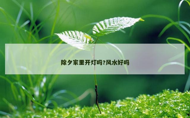 除夕家里开灯吗?风水好吗