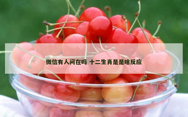微信有人问在吗 十二生肖是是啥反应