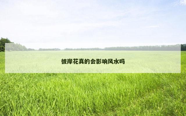 彼岸花真的会影响风水吗