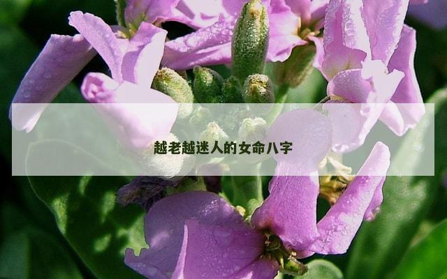 越老越迷人的女命八字