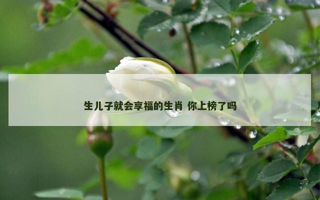 生儿子就会享福的生肖 你上榜了吗