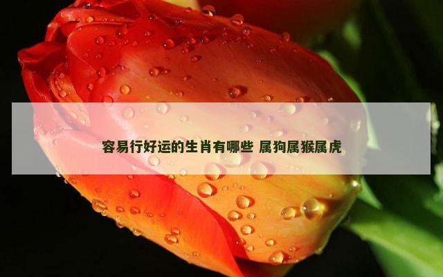 容易行好运的生肖有哪些 属狗属猴属虎