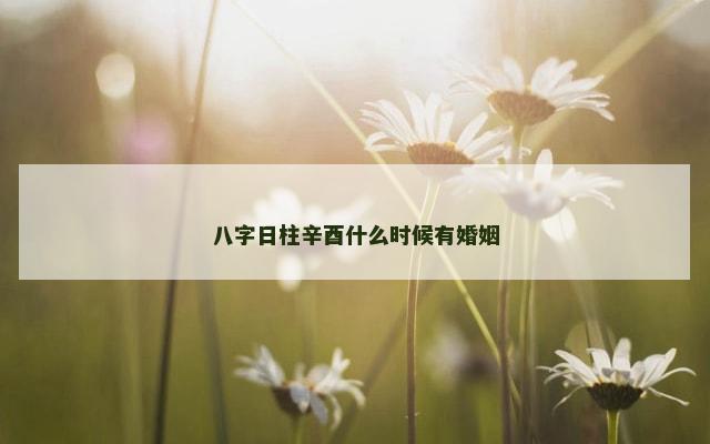 八字日柱辛酉什么时候有婚姻