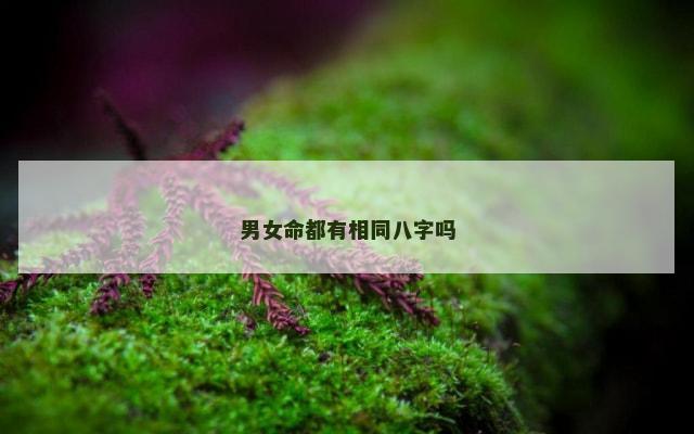 男女命都有相同八字吗