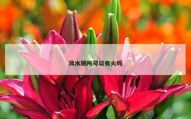 风水厕所可以有火吗