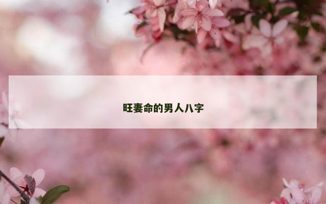 旺妻命的男人八字