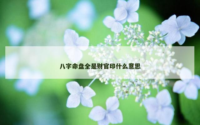 八字命盘全是财官印什么意思