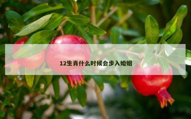 12生肖什么时候会步入婚姻