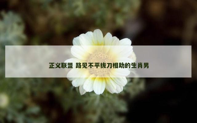 正义联盟 路见不平拔刀相助的生肖男