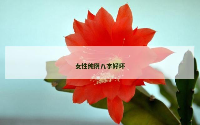 女性纯阴八字好坏