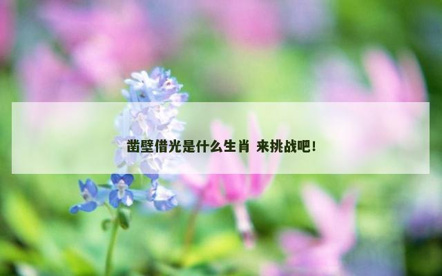 凿壁借光是什么生肖 来挑战吧！