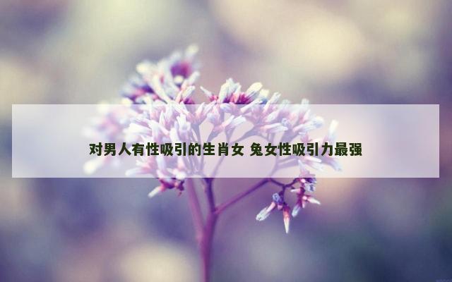 对男人有性吸引的生肖女 兔女性吸引力最强