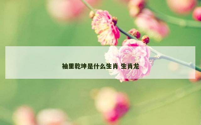 袖里乾坤是什么生肖 生肖龙