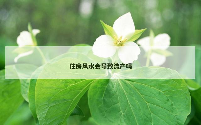 住房风水会导致流产吗