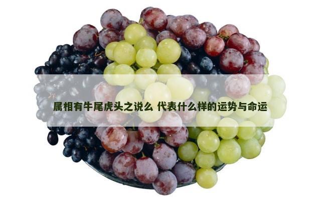 属相有牛尾虎头之说么 代表什么样的运势与命运