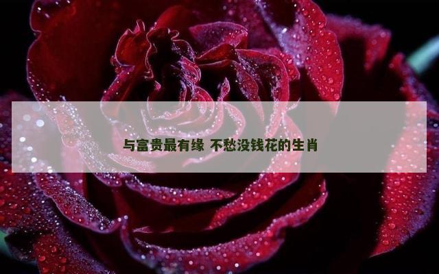与富贵最有缘 不愁没钱花的生肖