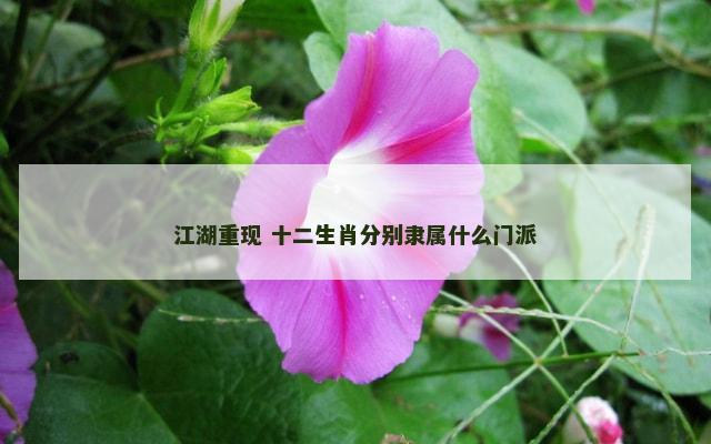 江湖重现 十二生肖分别隶属什么门派