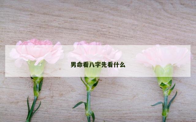 男命看八字先看什么