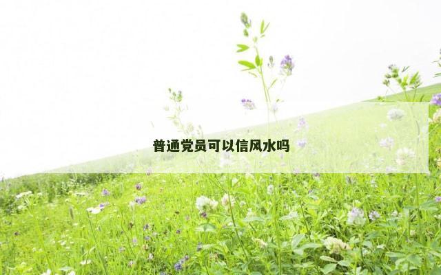 普通党员可以信风水吗