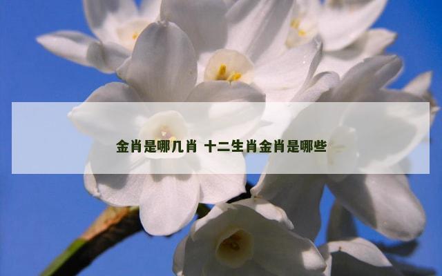 金肖是哪几肖 十二生肖金肖是哪些