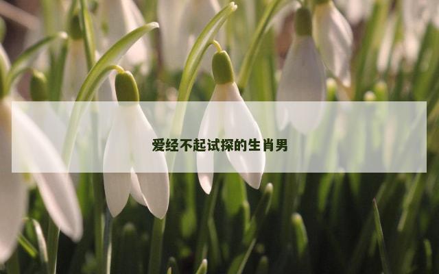 爱经不起试探的生肖男