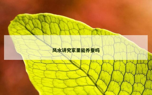 风水讲究家里能养蚕吗