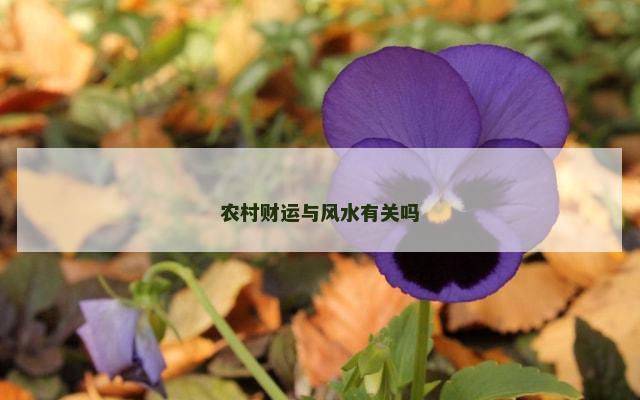 农村财运与风水有关吗
