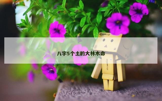 八字5个土的大林木命