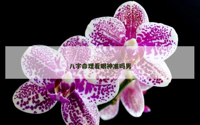 八字命理看眼神准吗男