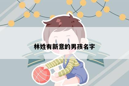 林姓有新意的男孩名字