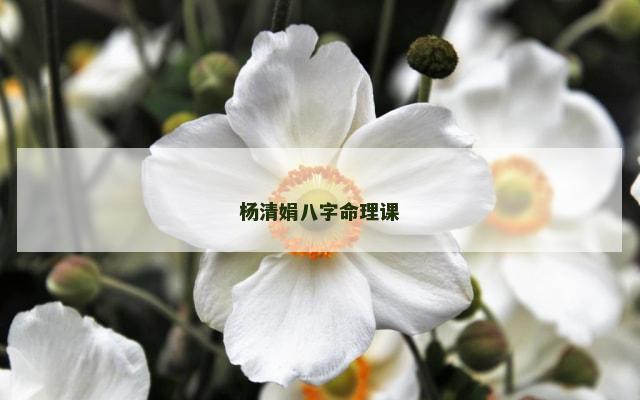杨清娟八字命理课