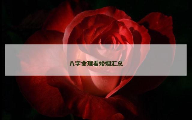 八字命理看婚姻汇总