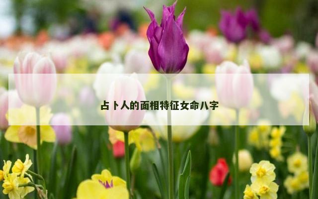 占卜人的面相特征女命八字