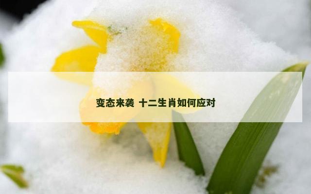变态来袭 十二生肖如何应对