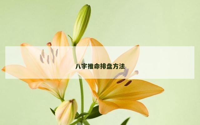 八字推命排盘方法