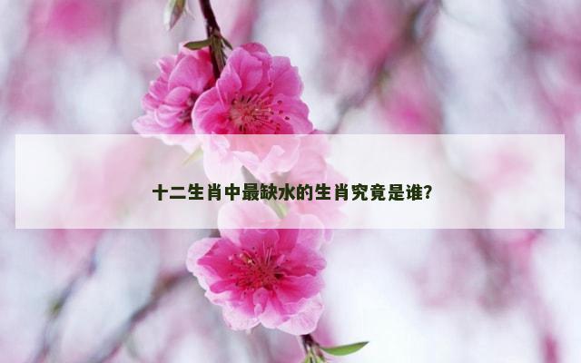 十二生肖中最缺水的生肖究竟是谁？