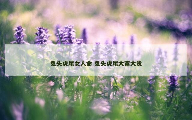 兔头虎尾女人命 兔头虎尾大富大贵