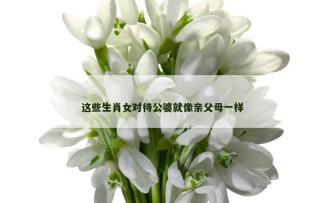 这些生肖女对待公婆就像亲父母一样