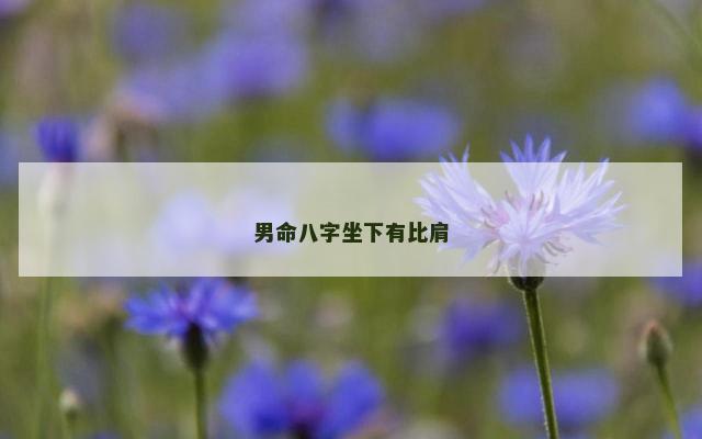 男命八字坐下有比肩