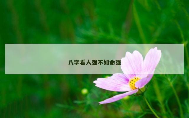 八字看人强不如命强