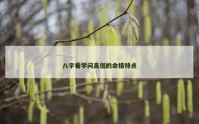 八字看学问高低的命格特点