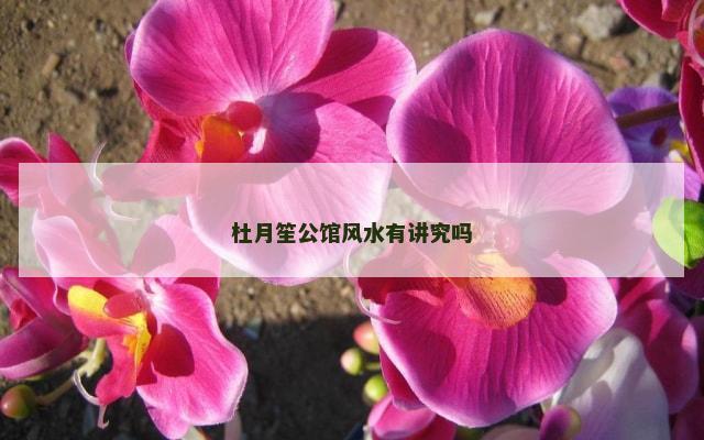 杜月笙公馆风水有讲究吗