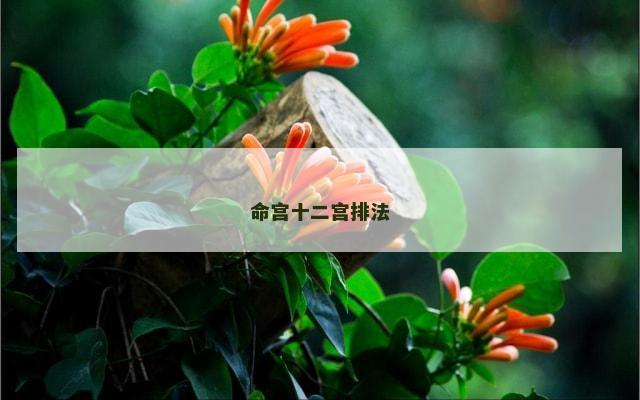 命宫十二宫排法