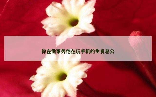 你在做家务他在玩手机的生肖老公