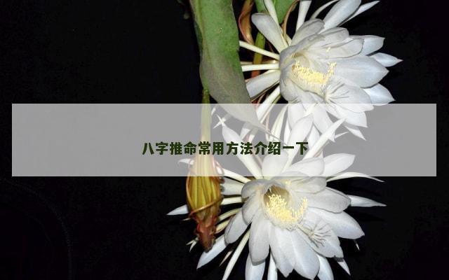 八字推命常用方法介绍一下
