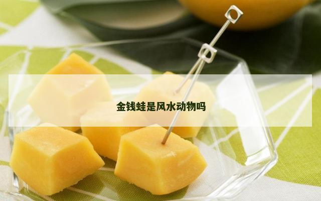 金钱蛙是风水动物吗