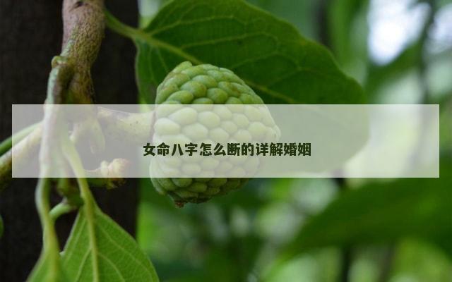 女命八字怎么断的详解婚姻