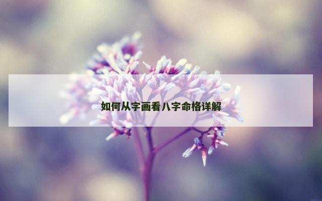 如何从字画看八字命格详解