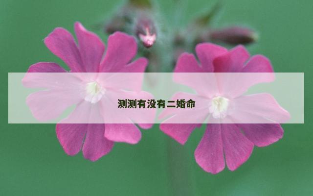 测测有没有二婚命