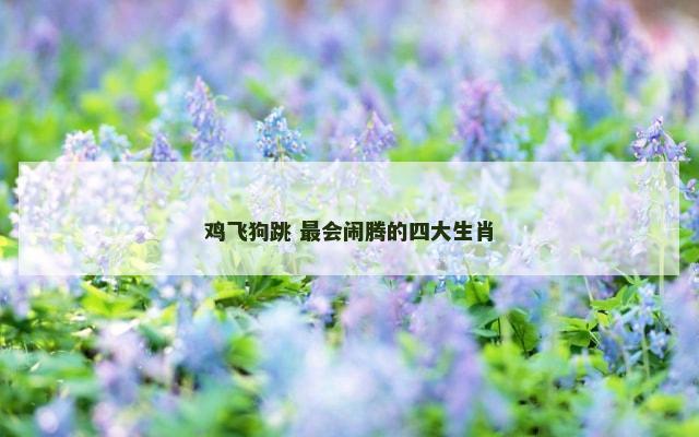鸡飞狗跳 最会闹腾的四大生肖